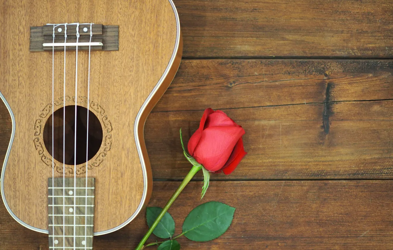 Photo wallpaper flowers, music, guitar, roses