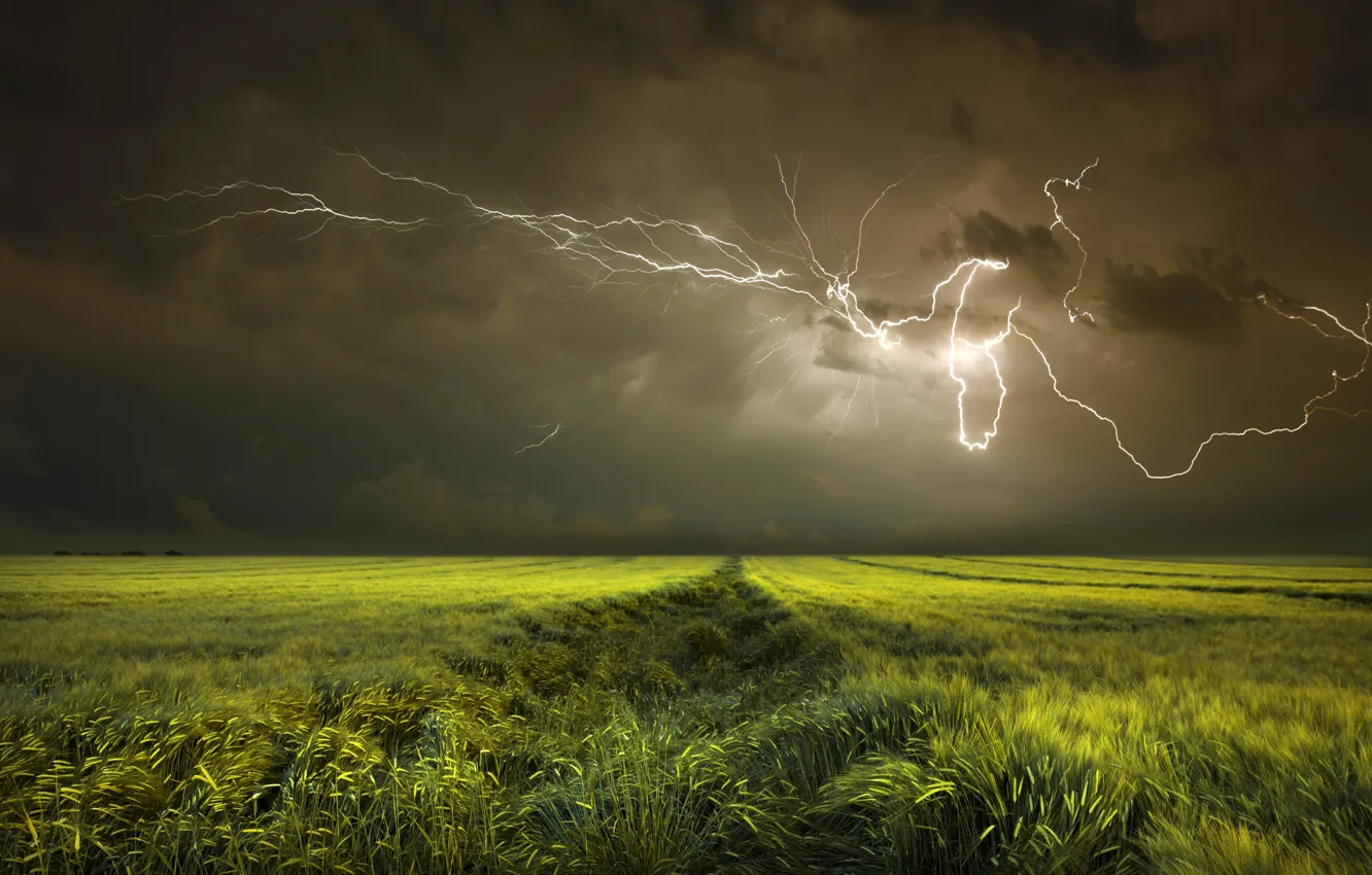 Photo wallpaper field, the sky, clouds, lightning