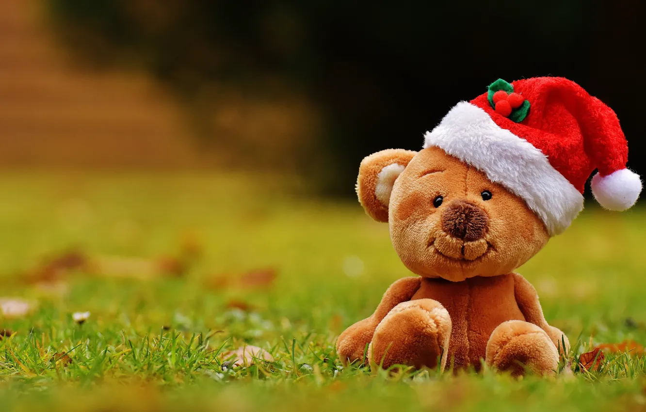 Photo wallpaper grass, red, nature, background, glade, toy, new year, bear