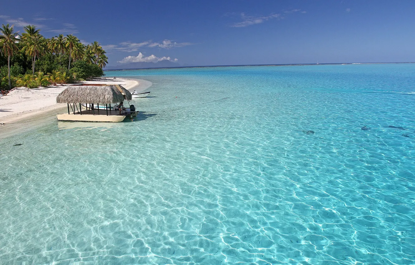Photo wallpaper beach, palm trees, the ocean
