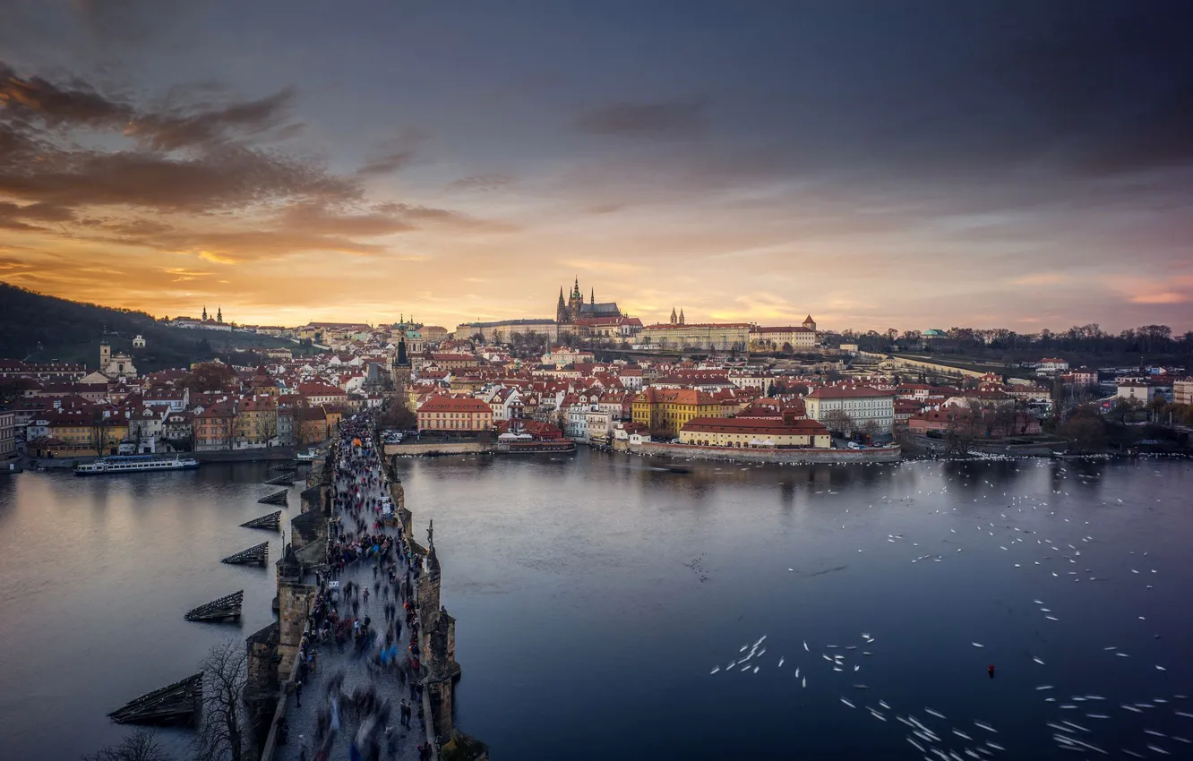 Photo wallpaper river, Prague, Czech Republic, Vltava, Charles bridge, St. Vitus Cathedral