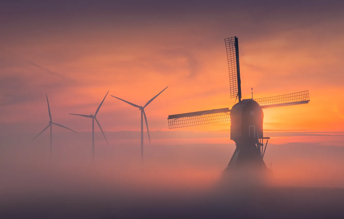 Photo wallpaper fog, dawn, morning, windmills