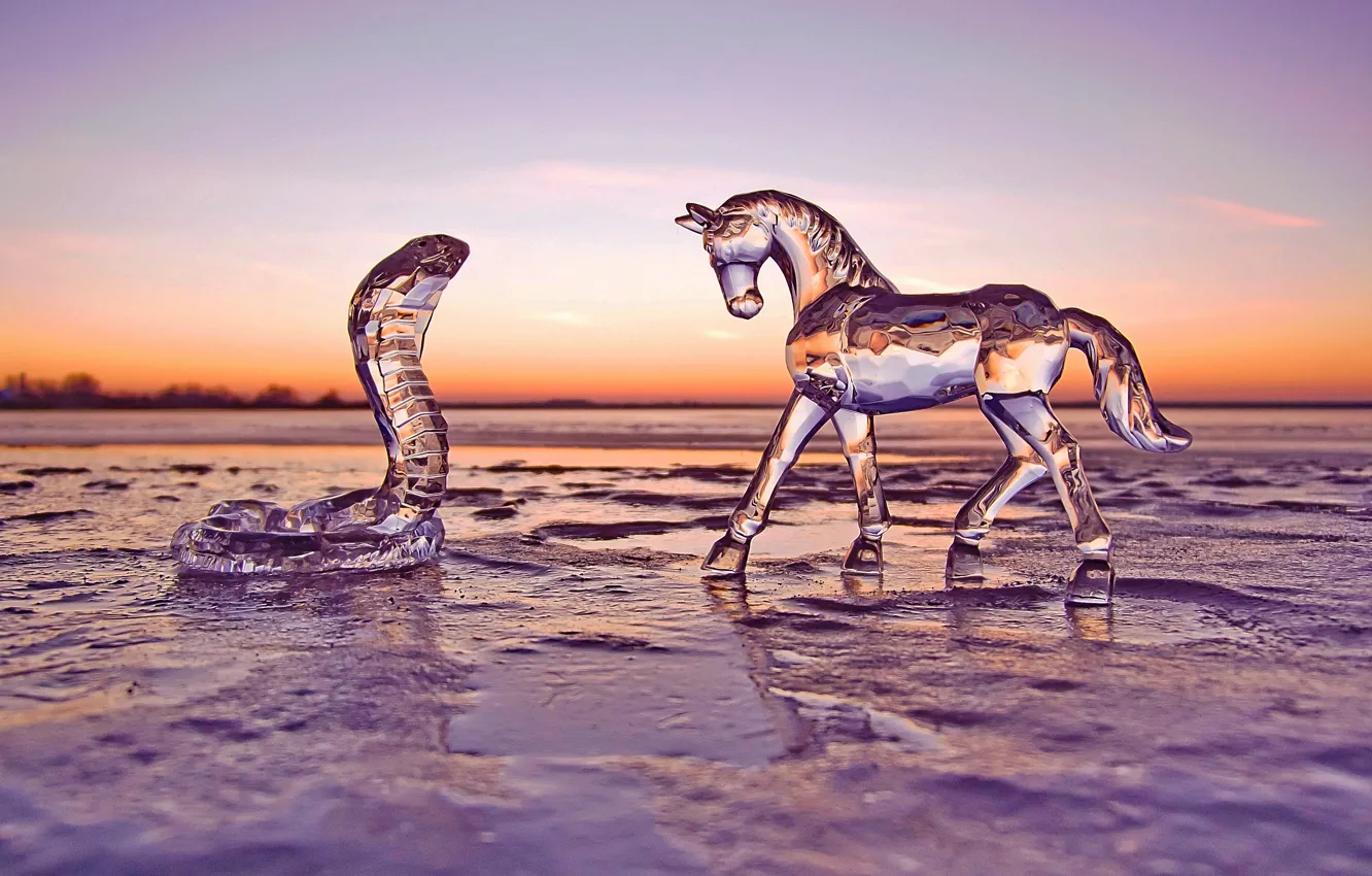 Photo wallpaper winter, glass, sunset, horse, horse, snake, ice, the evening