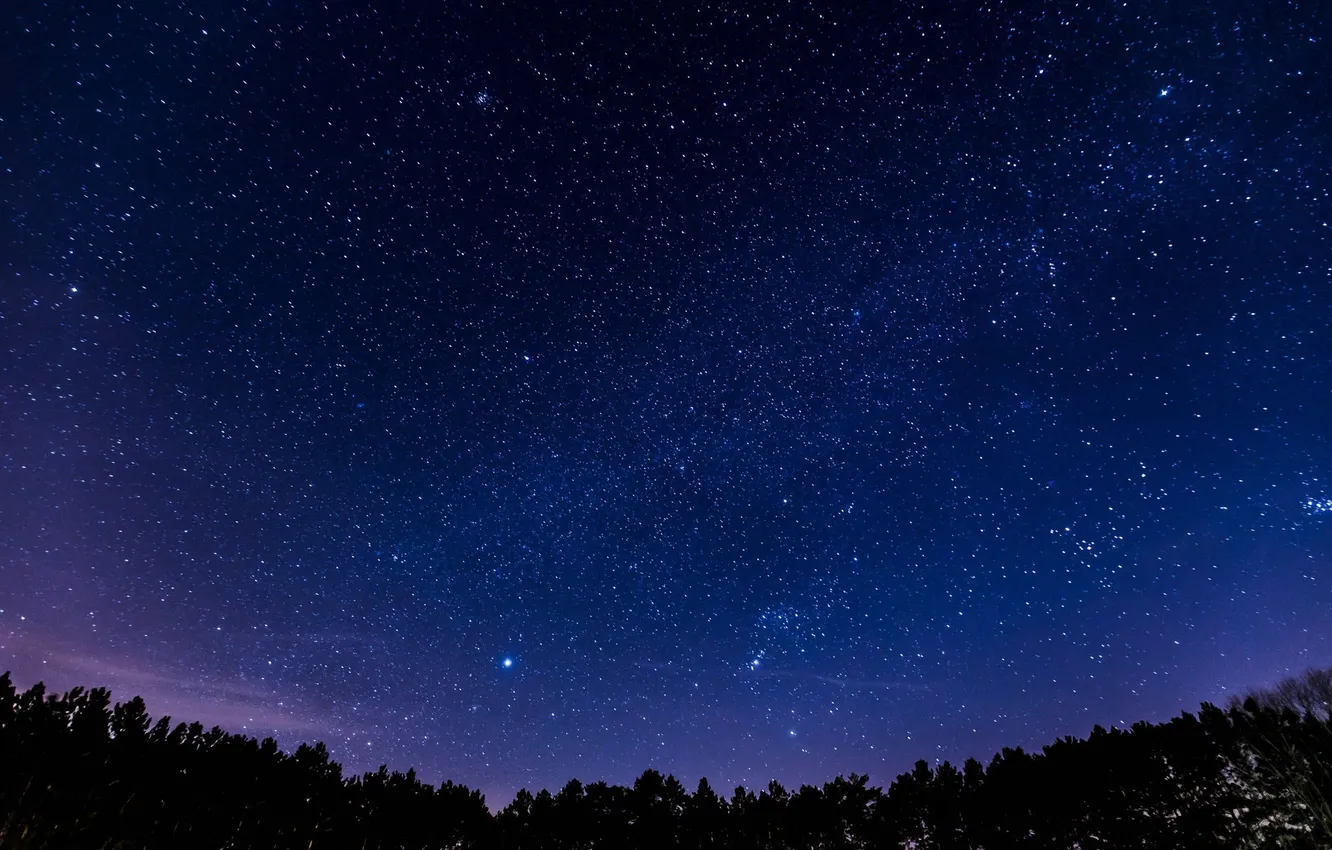 Photo wallpaper forest, trees, landscape, night, nature, glow, forest, the milky way