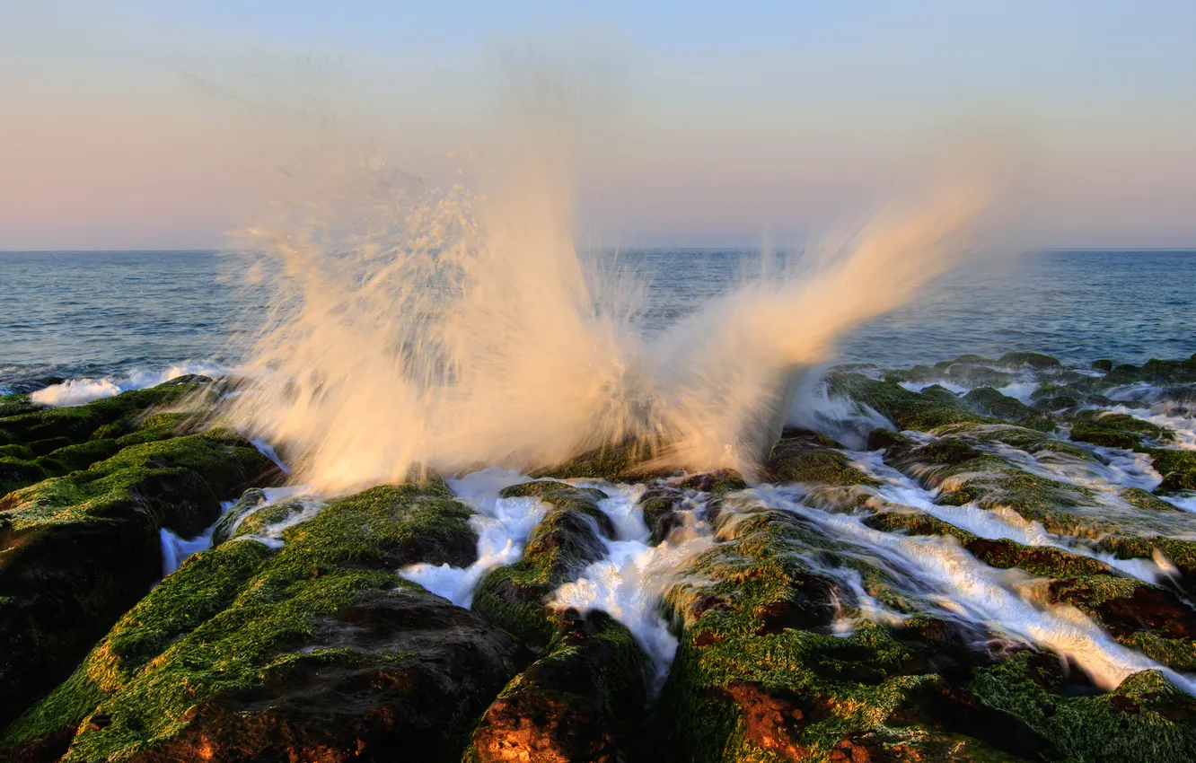 Photo wallpaper sea, wave, foam, squirt, morning