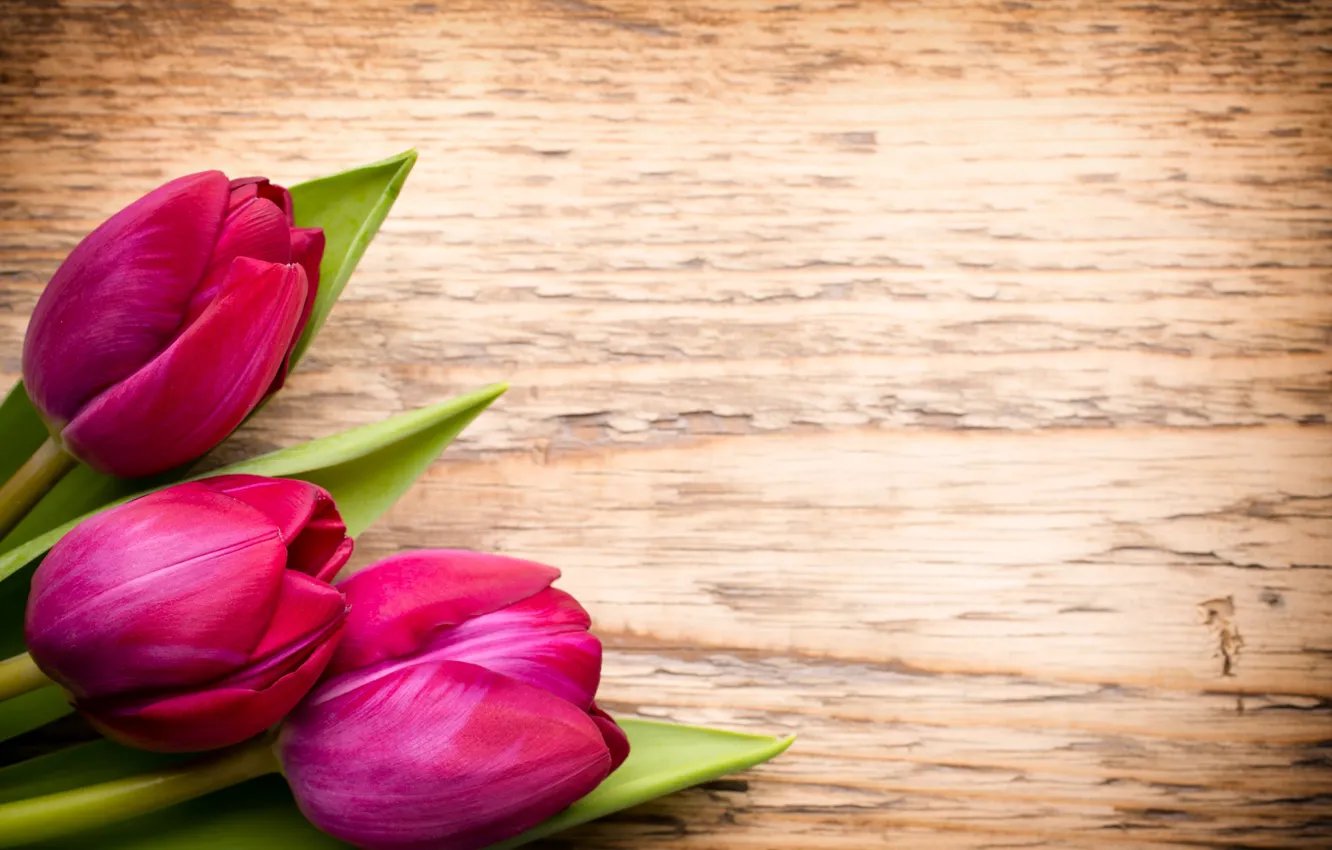 Photo wallpaper flowers, bouquet, fresh, wood, pink, flowers, beautiful, tulips