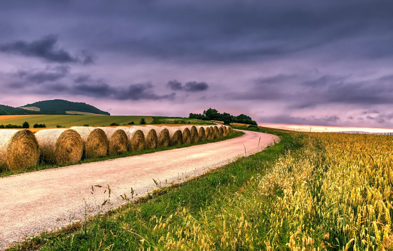 Photo wallpaper road, field, hay
