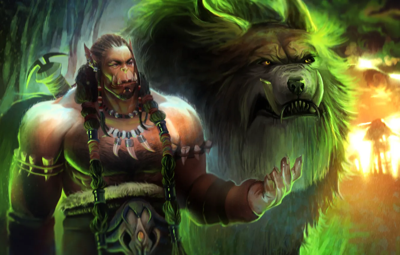 Wallpaper the film, the game, wolf, fantasy, book, World of Warcraft ...
