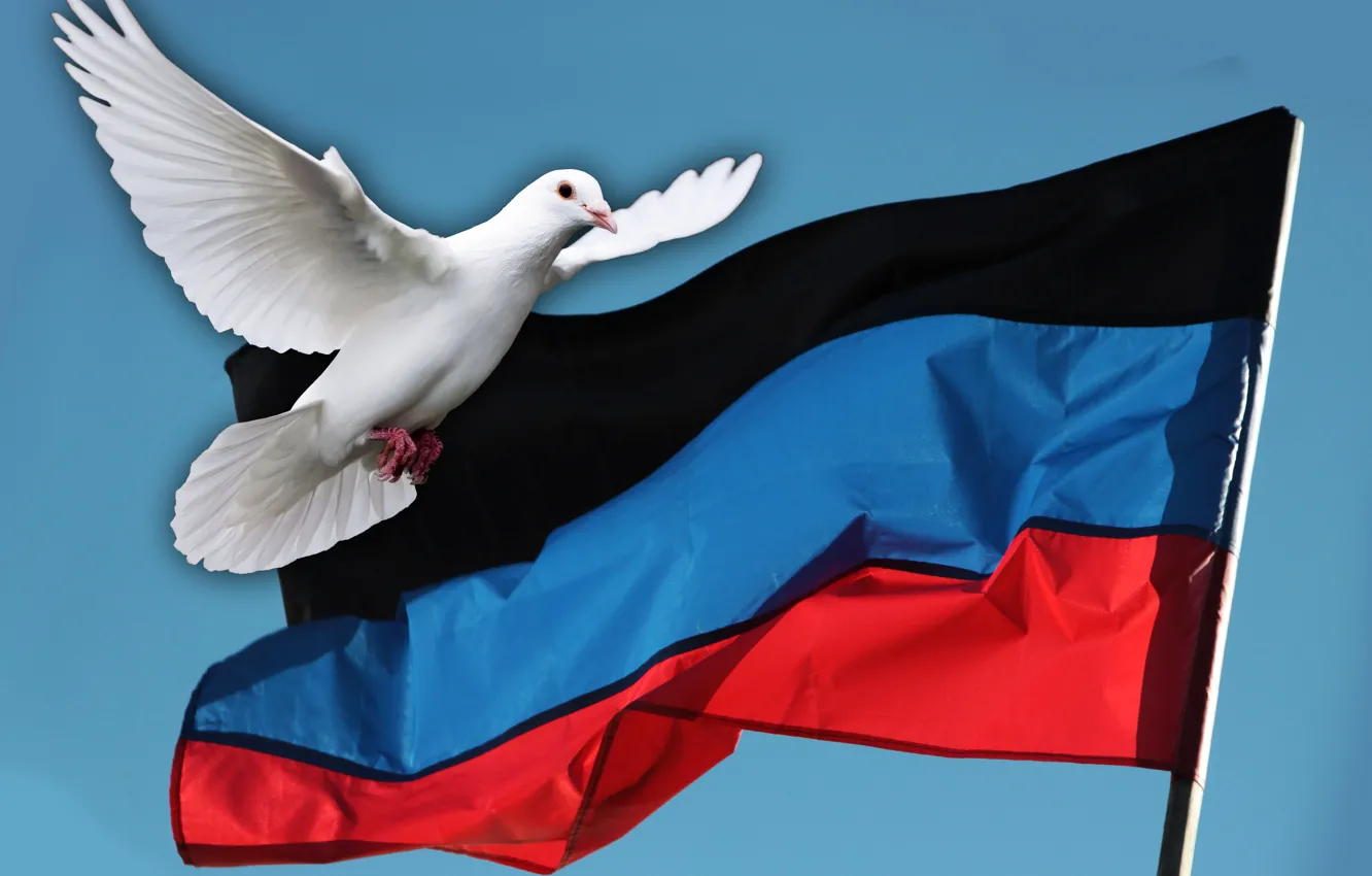 Photo wallpaper freedom, the world, protection, flag, pigeons, recognition, independence, Donetsk People's Republic