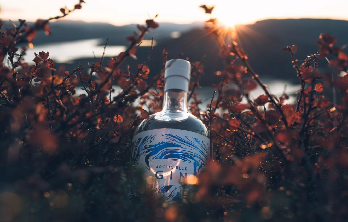 Photo wallpaper Nature, Bottle, Nature, Finland, Finland, Gin, Arctic Blue Gin, Arctic Blue Gin