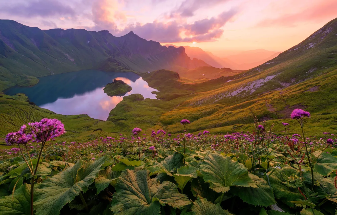 Photo wallpaper greens, the sun, flowers, mountains, lake, slope