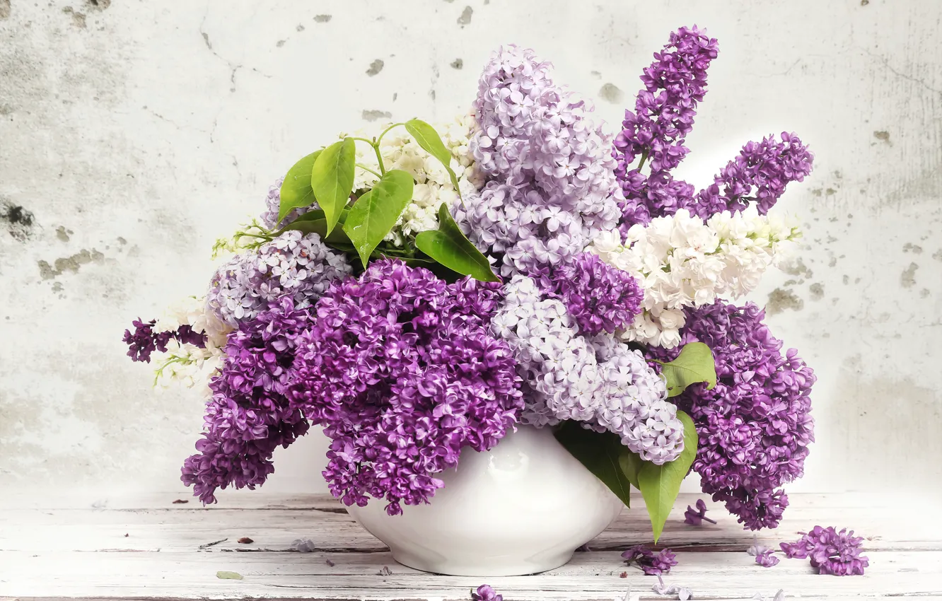 Photo wallpaper leaves, vase, lilac