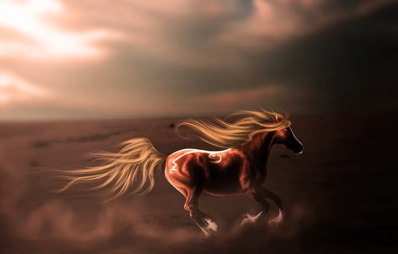 Photo wallpaper the sky, look, animal, dust, art, mane, profile, jump