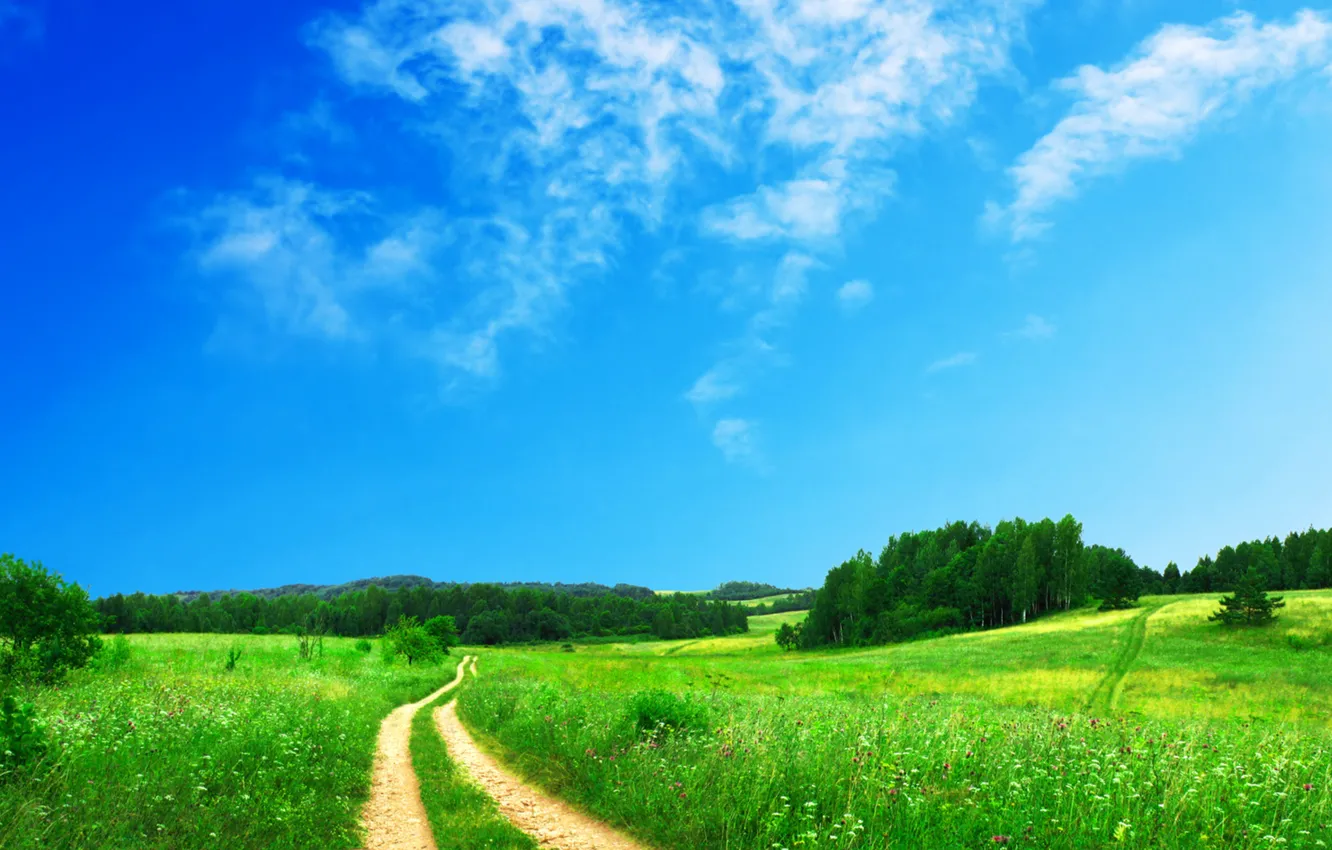 Photo wallpaper road, field, forest, the sky