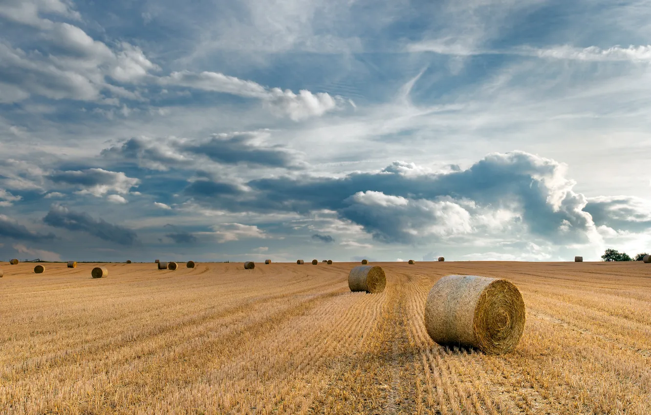 Photo wallpaper field, summer, hay