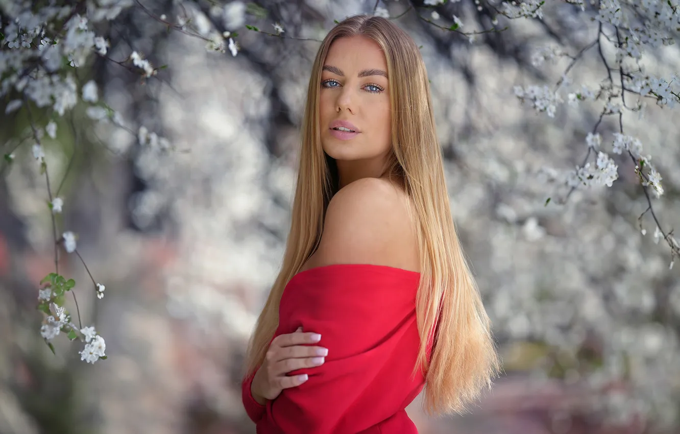 Photo wallpaper look, girl, branches, pose, portrait, spring, blonde, flowering