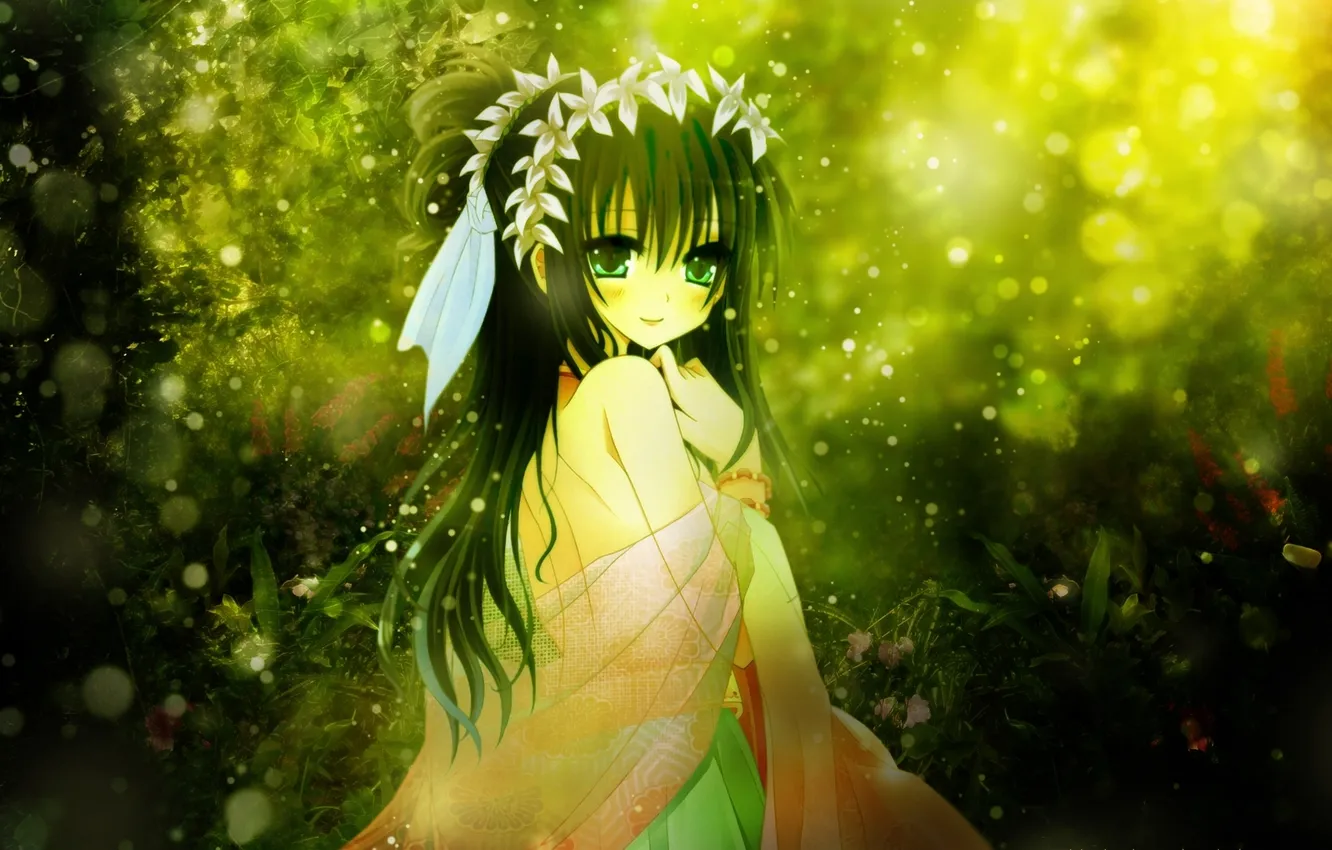 Photo wallpaper greens, forest, girl, shines