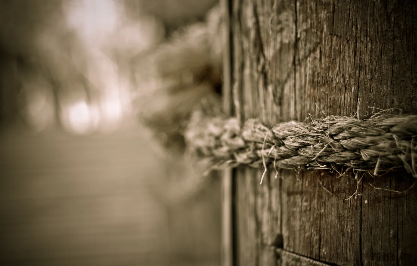 Photo wallpaper macro, trees, rope, rope, photos, wood, Wallpaper for desktop