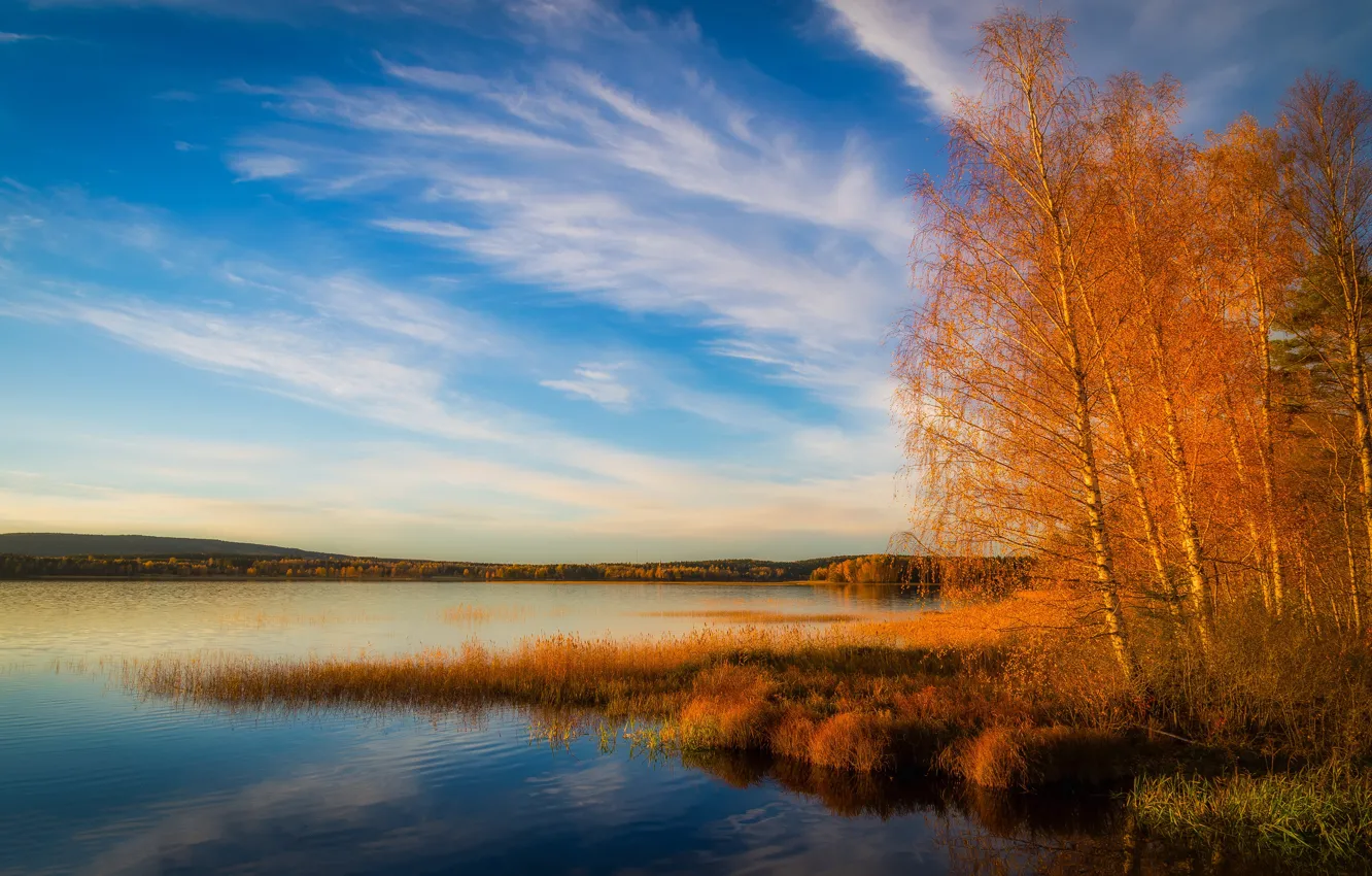 Photo wallpaper clouds, trees, landscape, nature, lake, pond, reflection, river