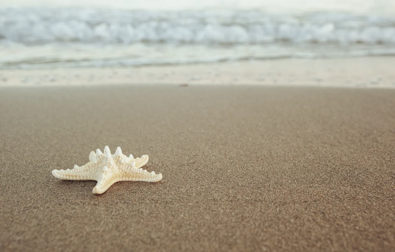 Photo wallpaper sand, sea, beach, stars, summer, beach, sea, sea