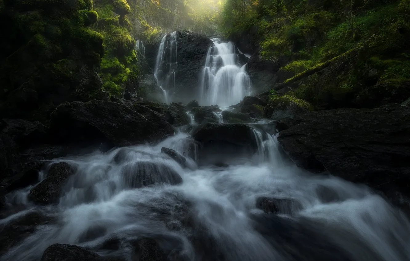 Photo wallpaper stones, log, waterfall, stream, rocks, forest