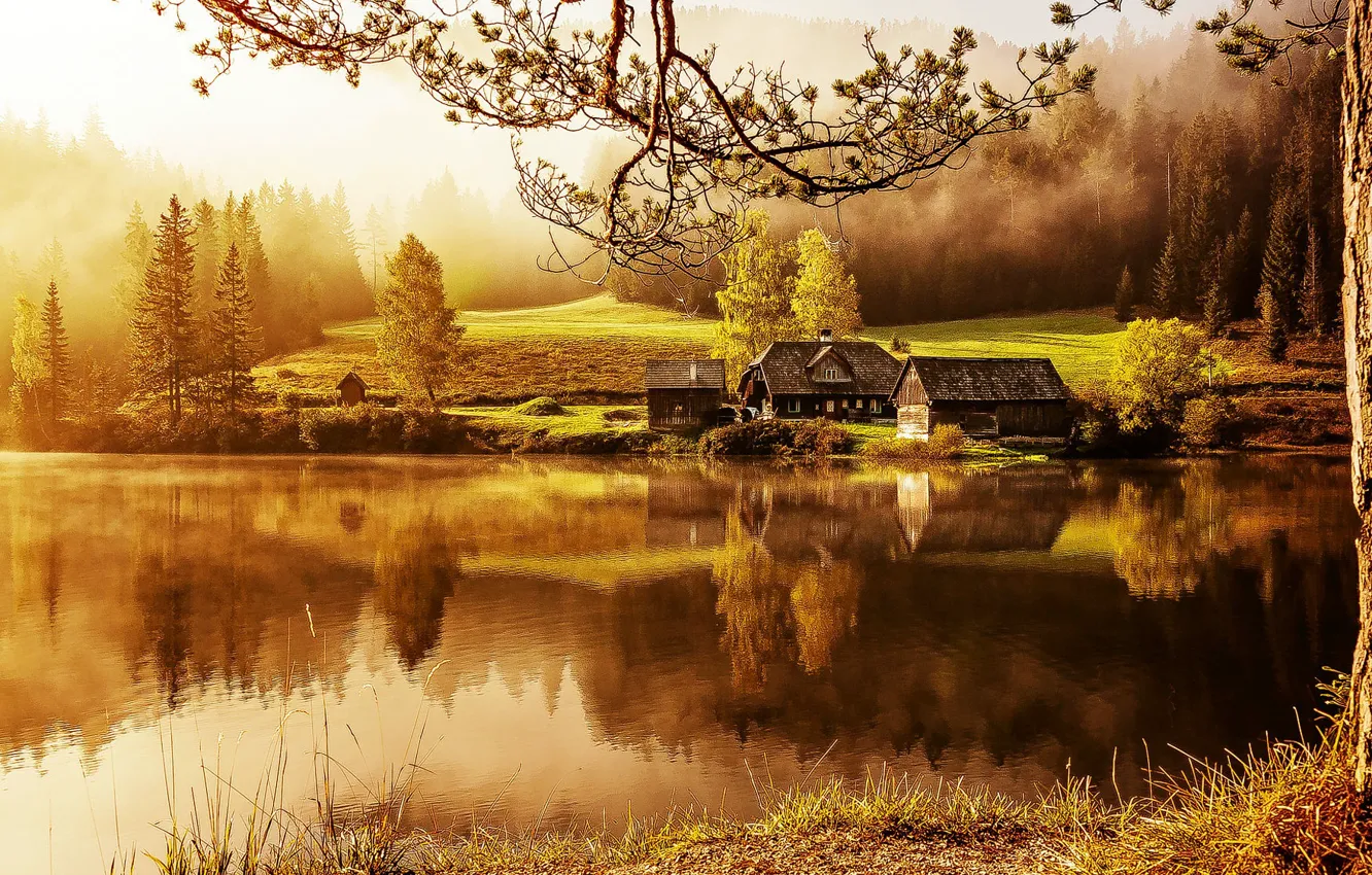 Photo wallpaper trees, lake, home, Sunrise on the lake