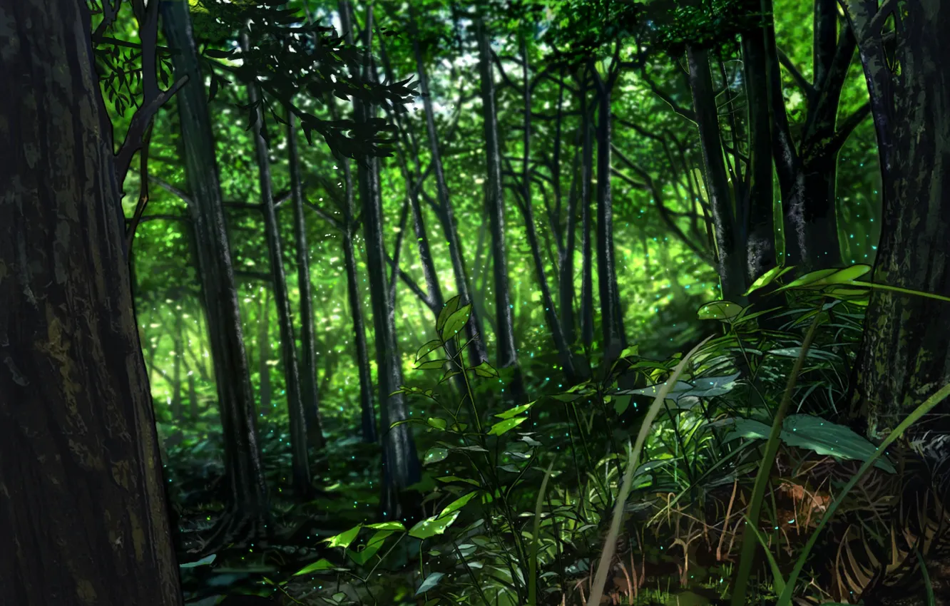 Photo wallpaper forest, glare, morning