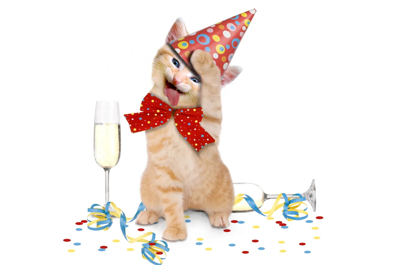 Photo wallpaper animal, holiday, kitty, champagne, bow