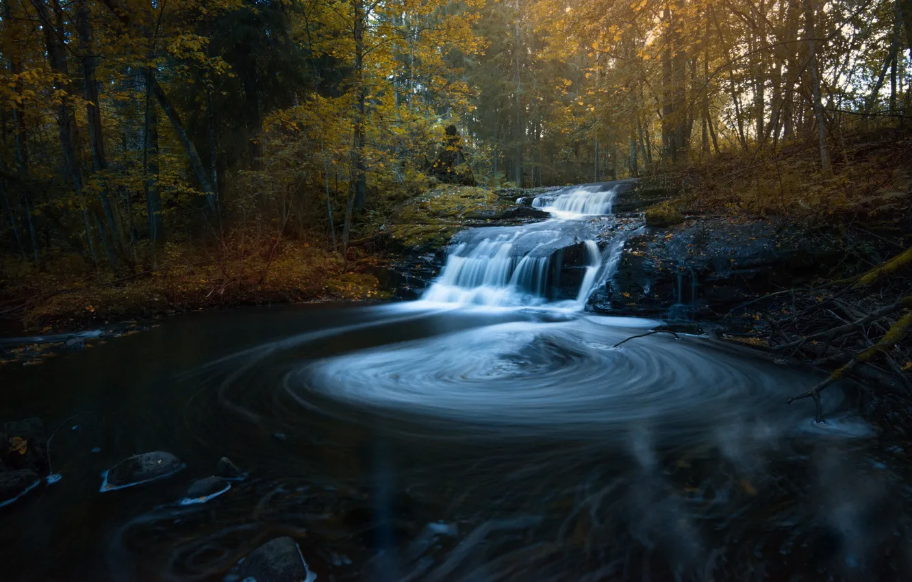 Photo wallpaper autumn, forest, leaves, water, the sun, trees, cascade