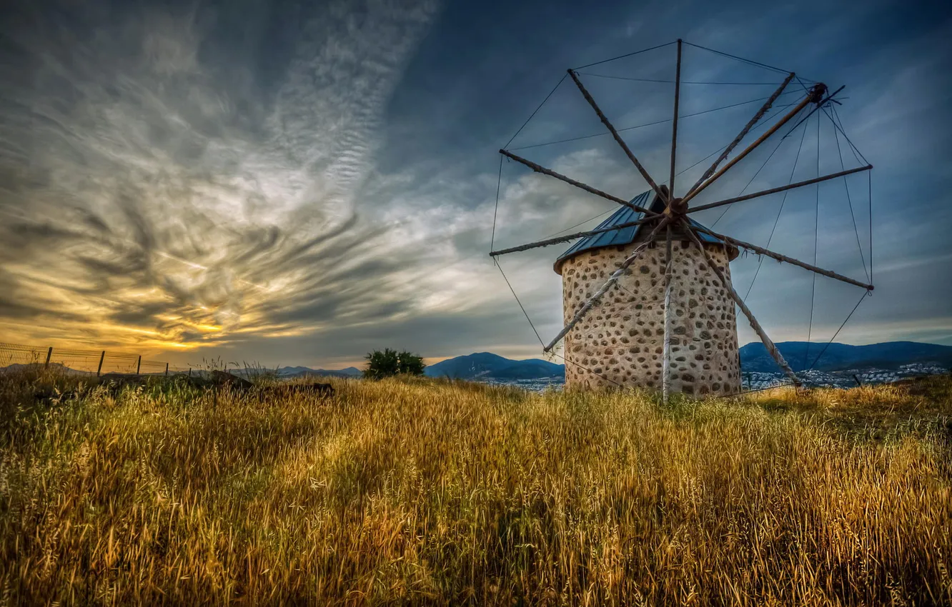 Photo wallpaper field, landscape, nature, mill
