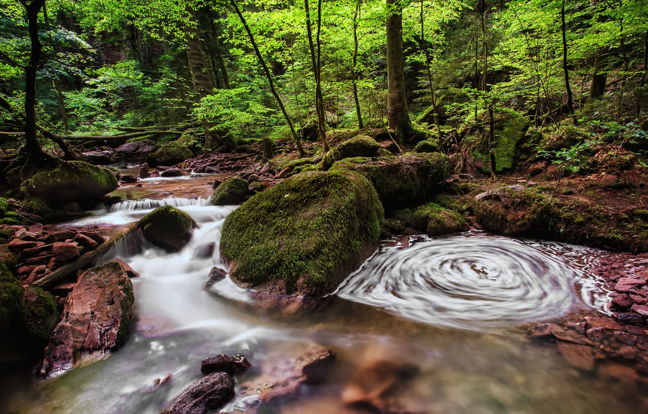Photo wallpaper forest, stream, stones, Germany, Germany, Baden-Württemberg, Baden-Württemberg, river Manbah