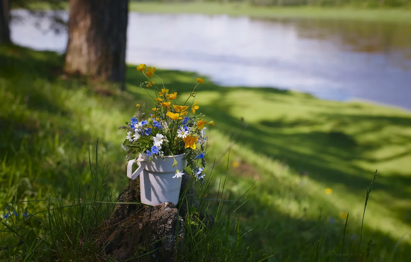 Photo wallpaper summer, grass, flowers, river, stump, bouquet, mug, field