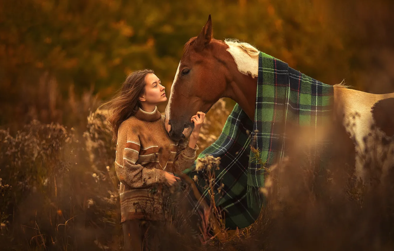 Photo wallpaper girl, love, heat, horse, horse, blanket, friendship, plaid