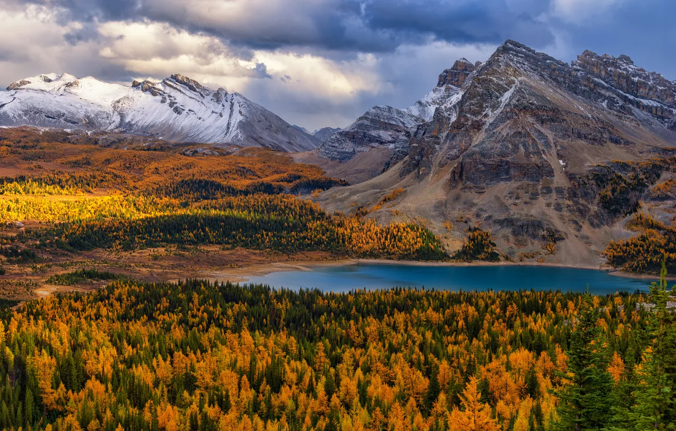 Photo wallpaper autumn, forest, clouds, snow, mountains, lake, shore, tops