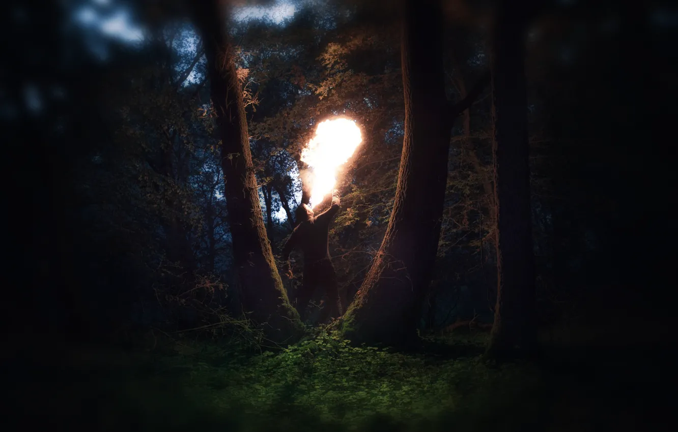Photo wallpaper Fire, Man, Forest, Trees