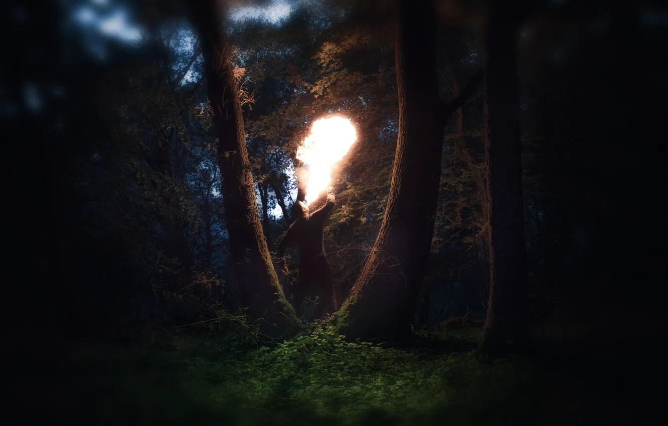 Photo wallpaper fire, forest, trees, man