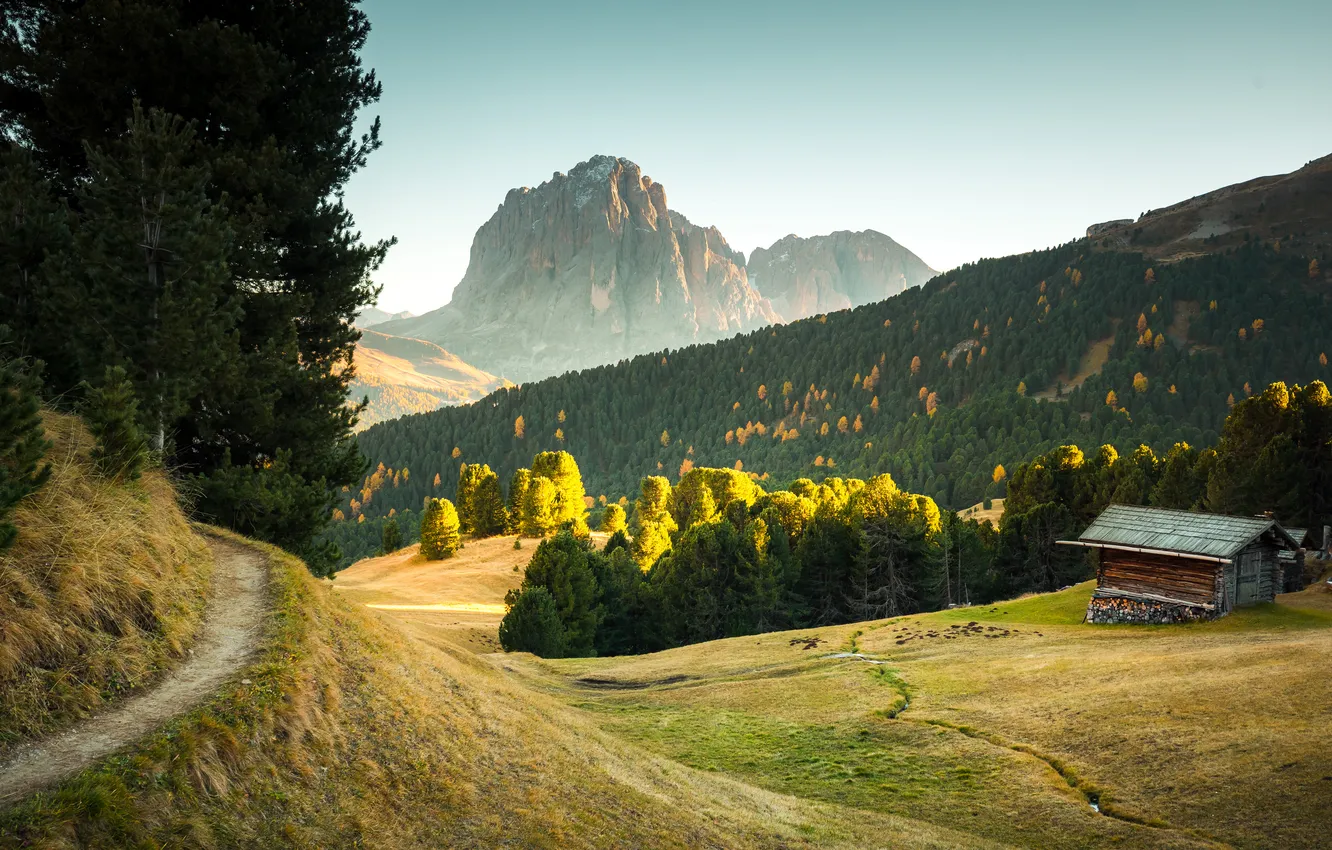Photo wallpaper grass, photography, trees, Italy, nature, mountains, Dolomites, golden hour