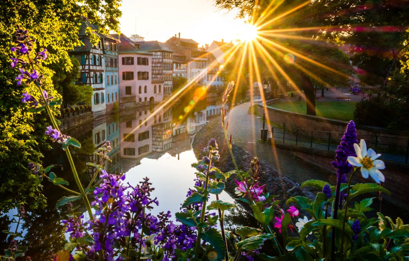 Photo wallpaper water, the sun, trees, flowers, France, home, Strasbourg