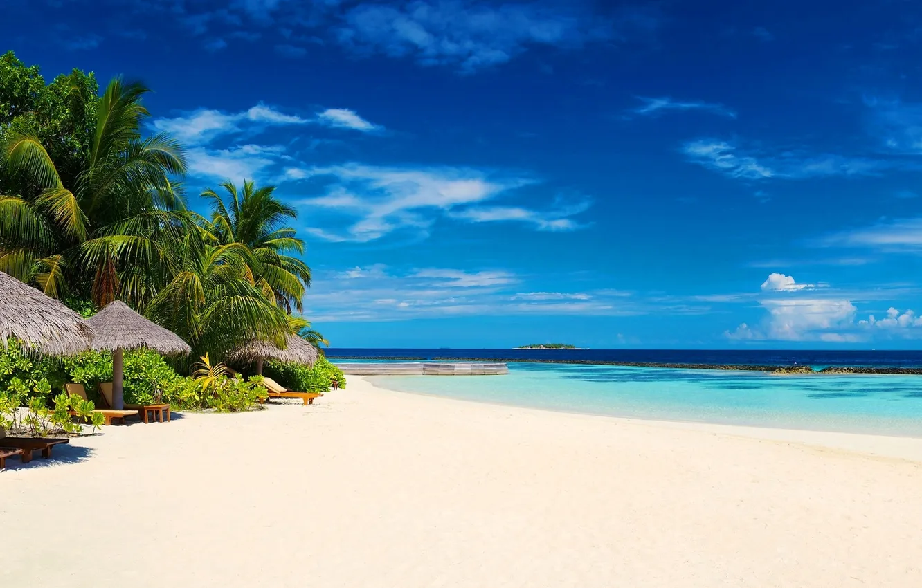 Photo wallpaper sand, beach, palm trees, the ocean, exotic