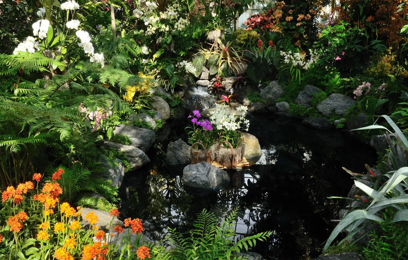 Photo wallpaper nature, pond, Park, photo, New York, Belmont Park