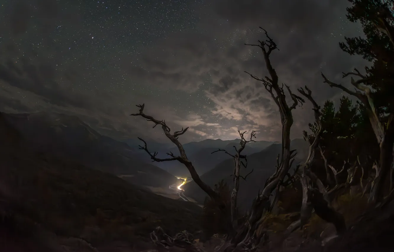 Photo wallpaper clouds, mountains, night, old trees, Kudashkina Ksenia, Gloomy Arkhyz