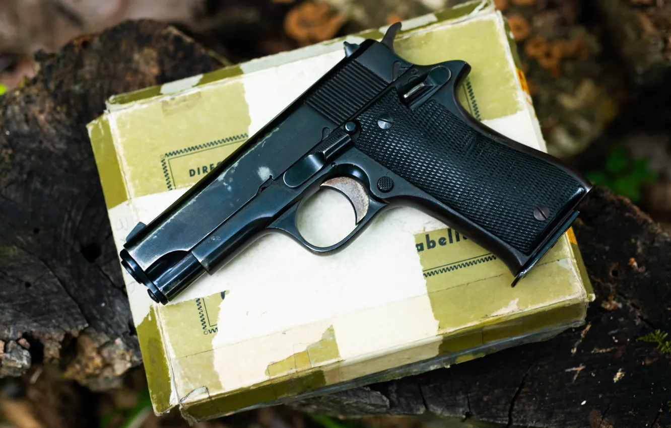 Photo wallpaper macro, gun, background