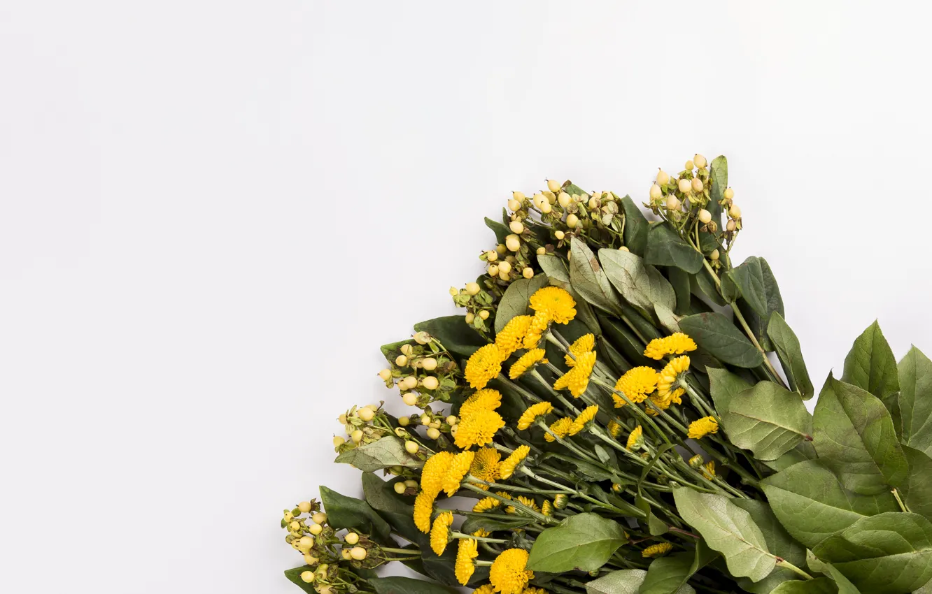 Photo wallpaper greens, branches, bouquet, Daisy