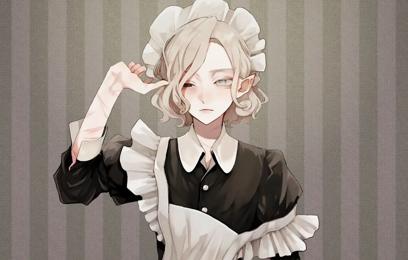 Photo wallpaper anime, the maid, maid, trap, Dungeon Meshi, Mithrun