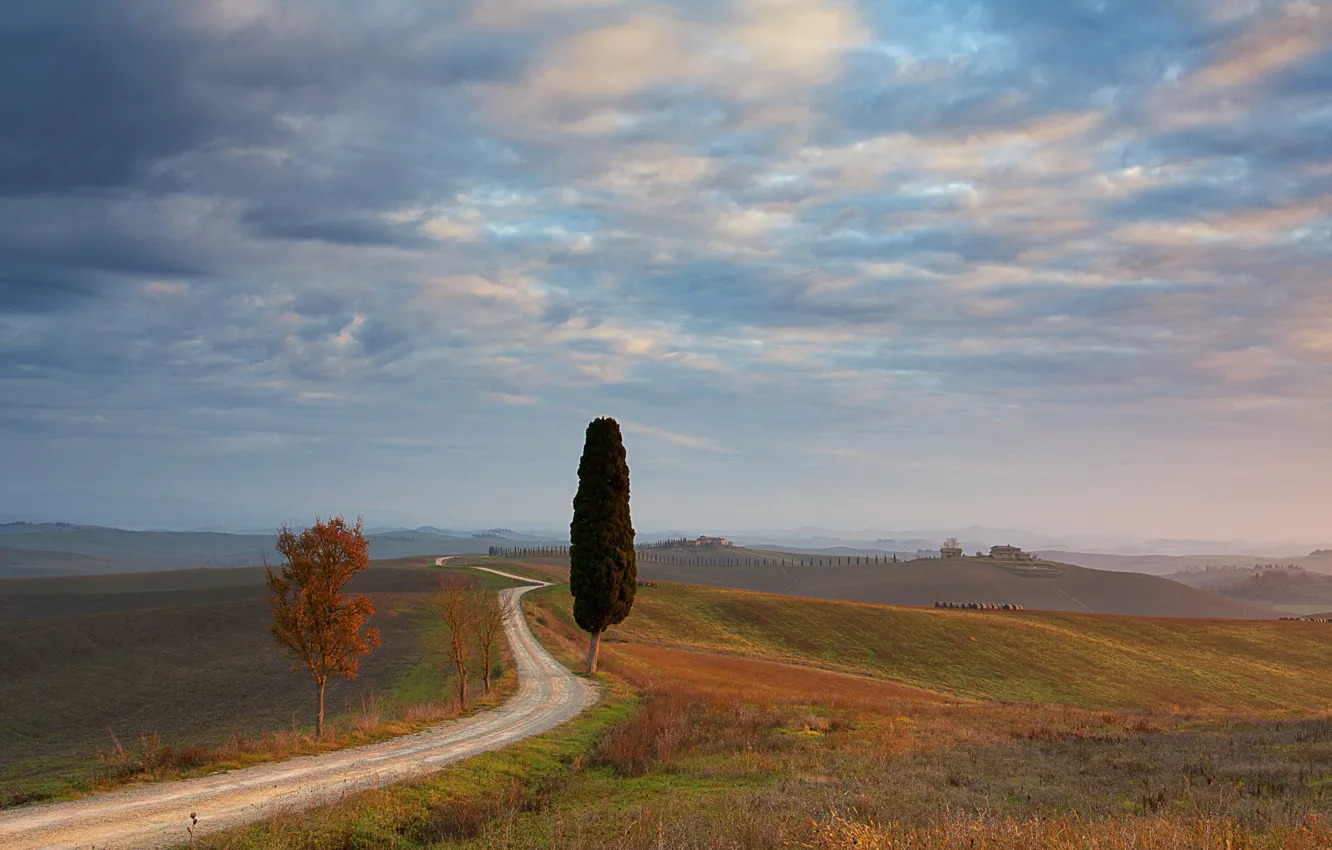Photo wallpaper road, field, trees, Tuscany