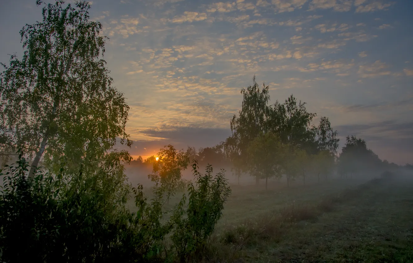 Photo wallpaper landscape, dawn, morning, sunrise