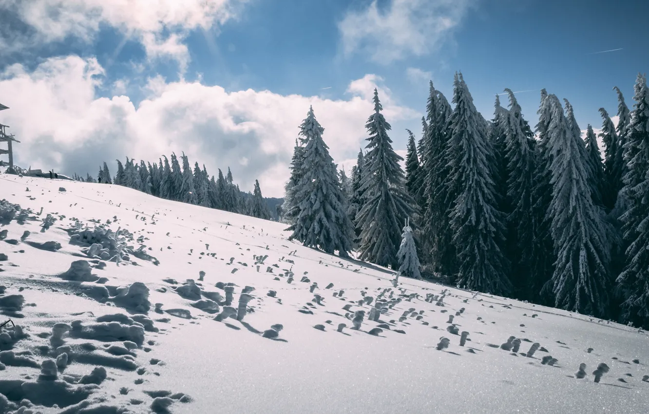 Photo wallpaper winter, forest, the sky, clouds, light, snow, mountains, the building
