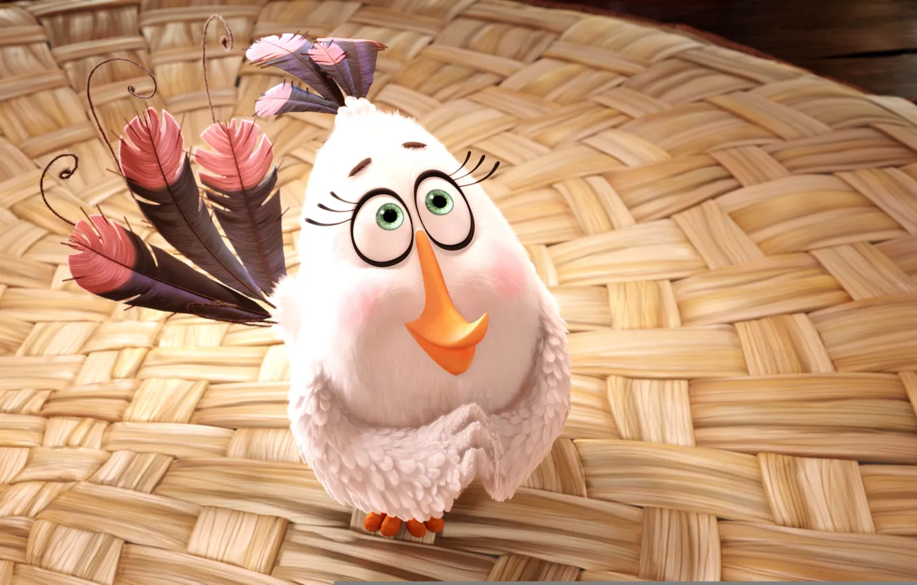 Photo wallpaper cinema, game, bird, eyes, wings, feathers, cartoon, movie