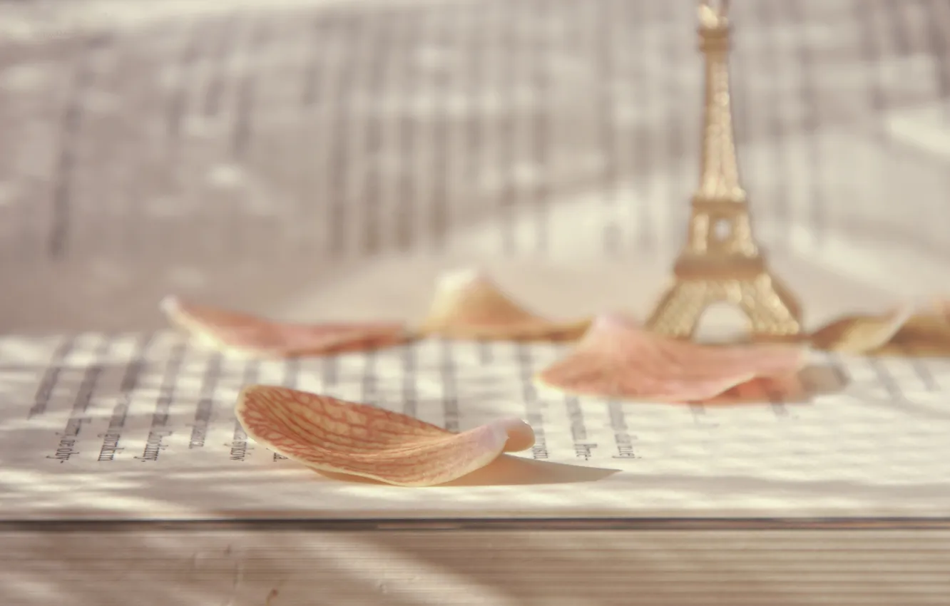 Photo wallpaper Eiffel tower, petals, book, page