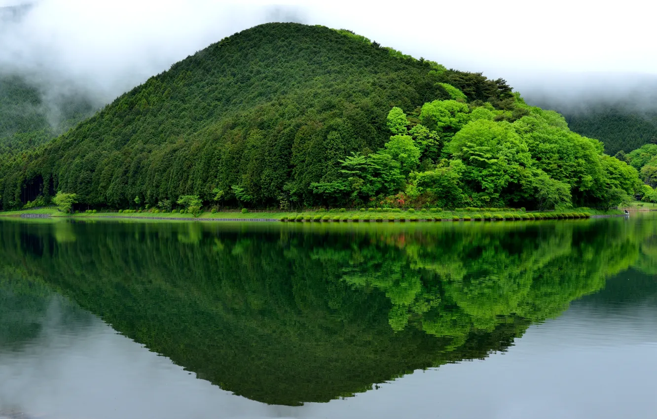 Photo wallpaper greens, landscape, reflection, Japan, mountain, Fujinomiya, Lake Tanuki